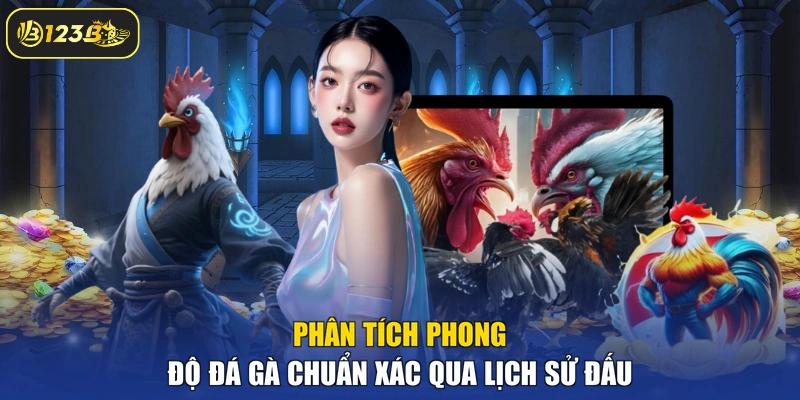 Phân tích phong độ đá gà chuẩn xác qua lịch sử đấu